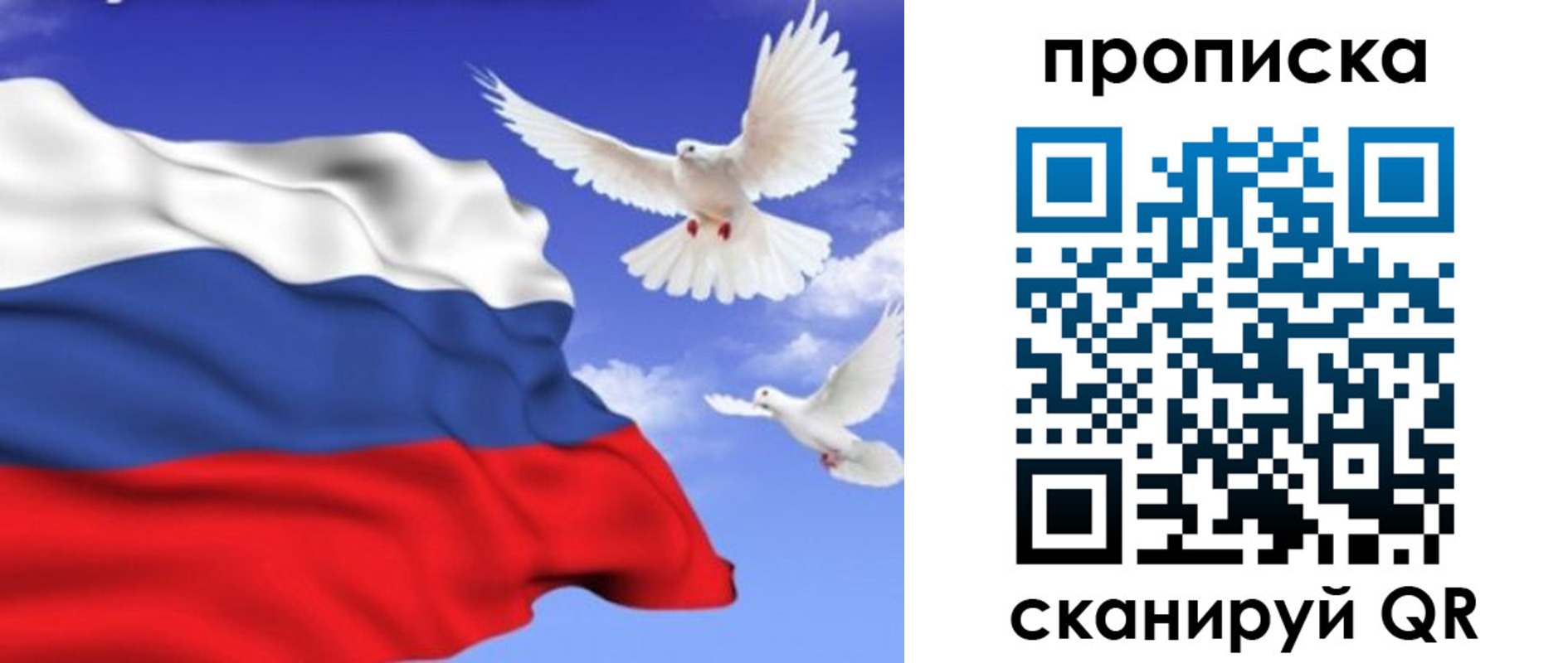 временная регистрация гарантия в Зее